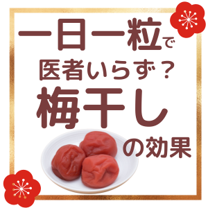 一日一粒で医者いらず？梅干しの免疫力アップ効果を徹底解説